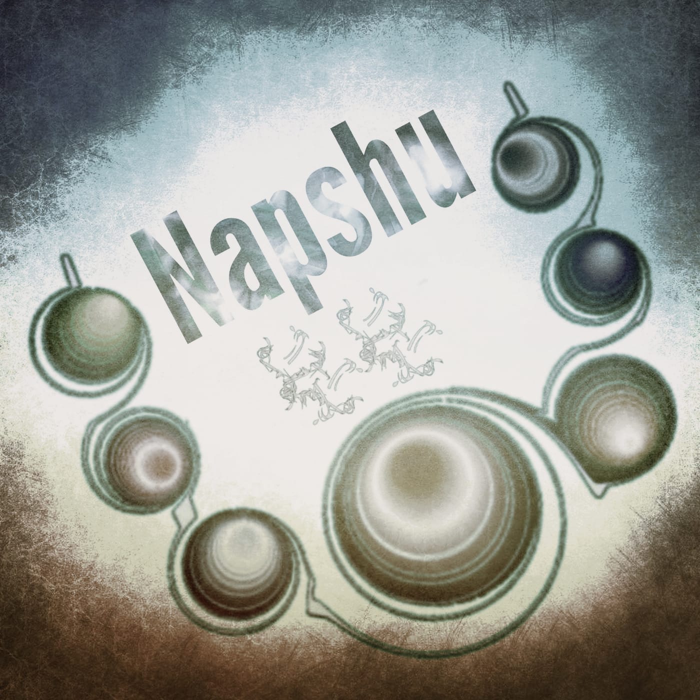 about-napshu tag feature image